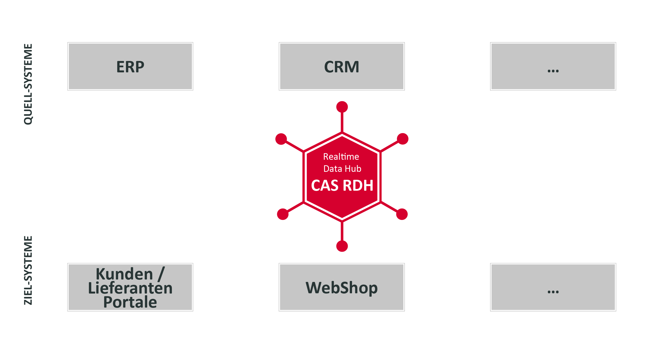 CAS_RDH_Datenschicht_white_c-01 Zentrale Datenschicht CAS RDH