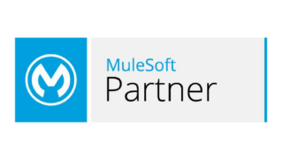 MuleSoft Partner